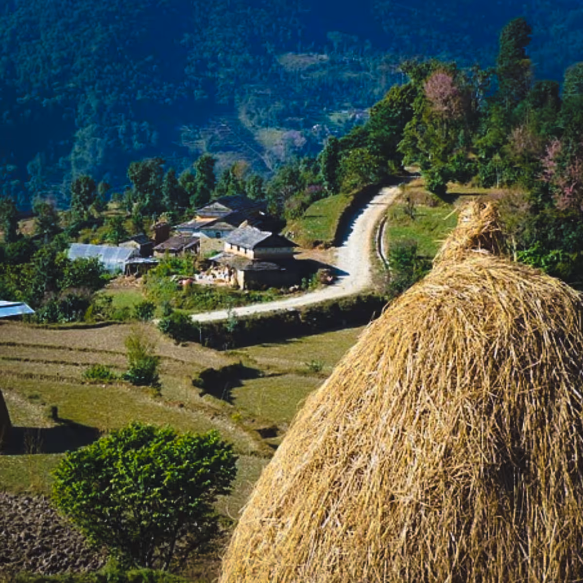 Haystack and rural village scene in Nepal hills