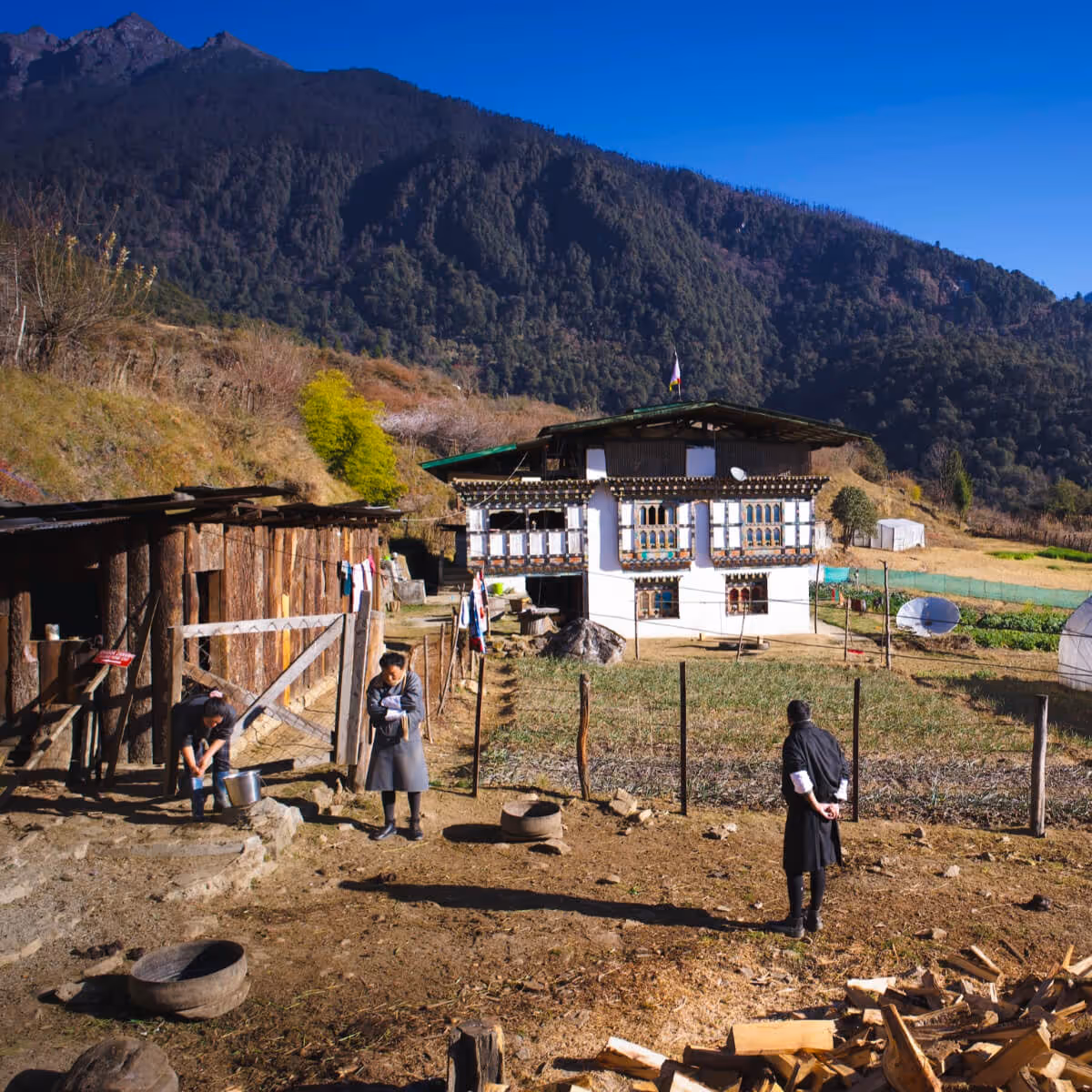 Traditional farmhouse and daily rural life in Gasa, Bhutan, with people tending to chores and lush mountain backdrop.