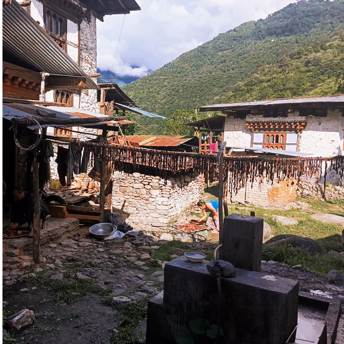 Locals in Khoma village, Lhuentse, Bhutan, drying meat and chillies in the sun outside traditional stone houses.