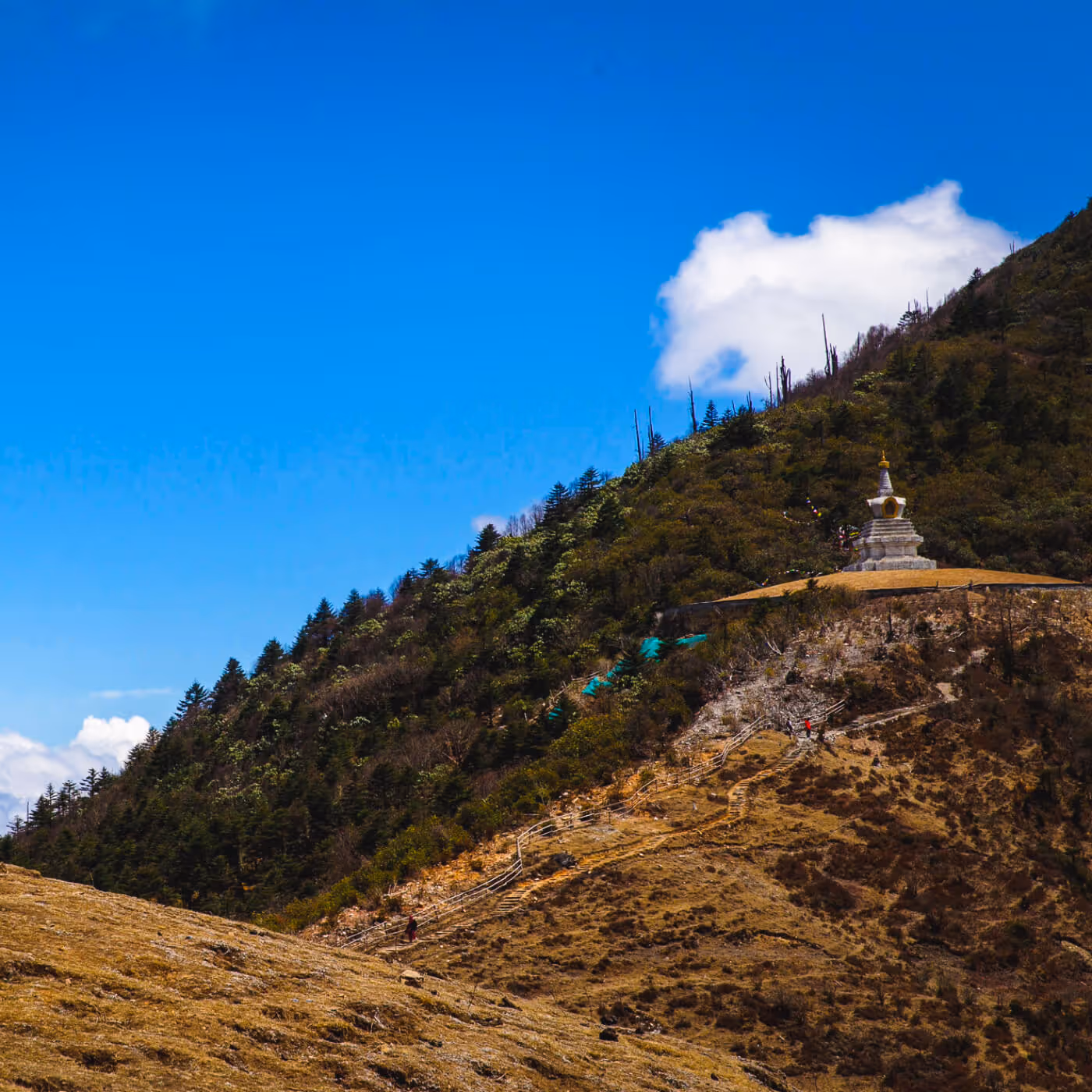 Solitary chorten perched on a forested slope, overlooking the mountain trail near Chelela Pass.