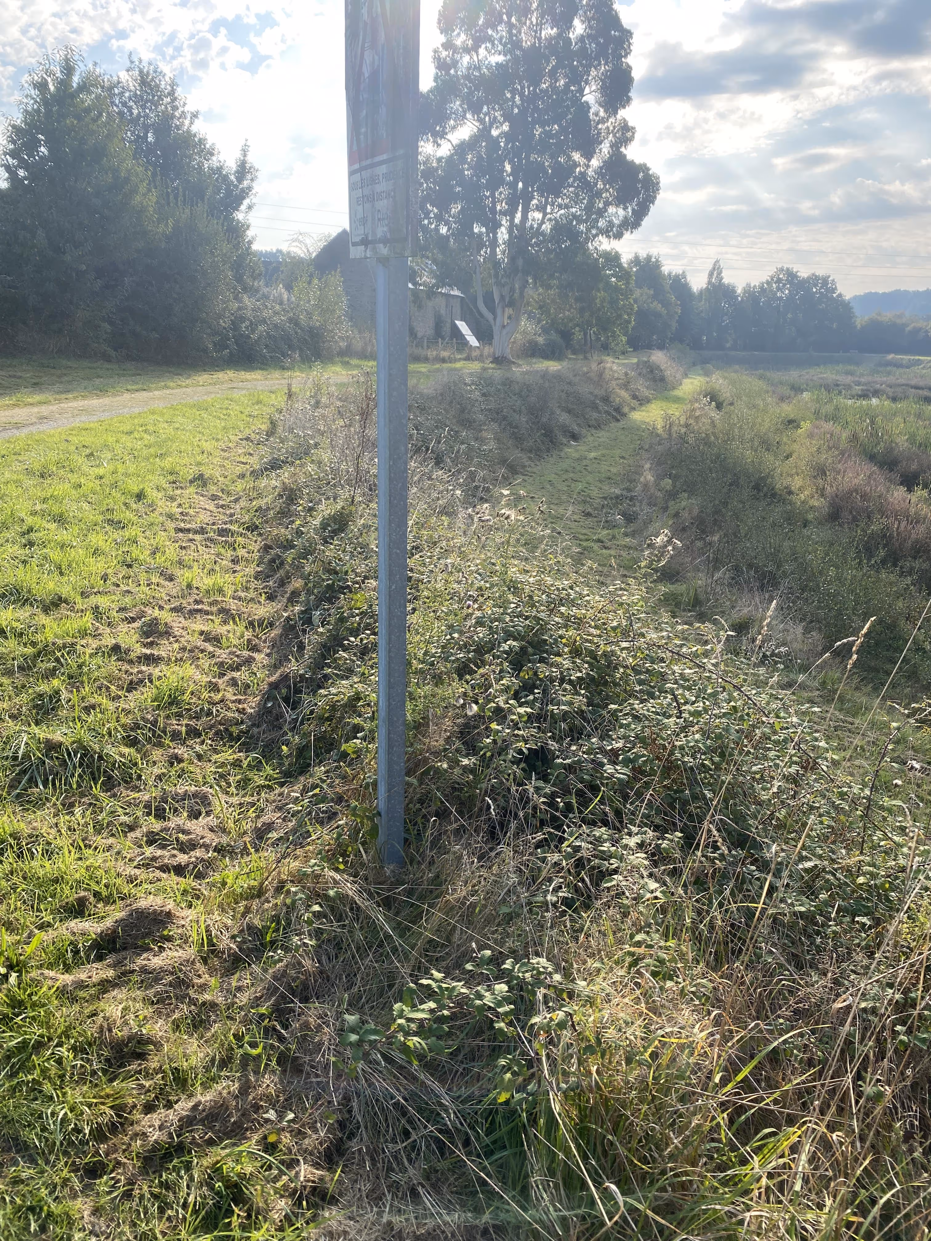 Avant débroussaillage à Blain : terrain envahi