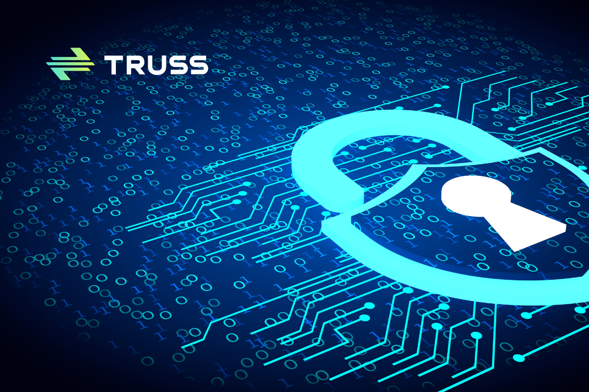 Truss Balance Protection secure payments with digital lock illustration