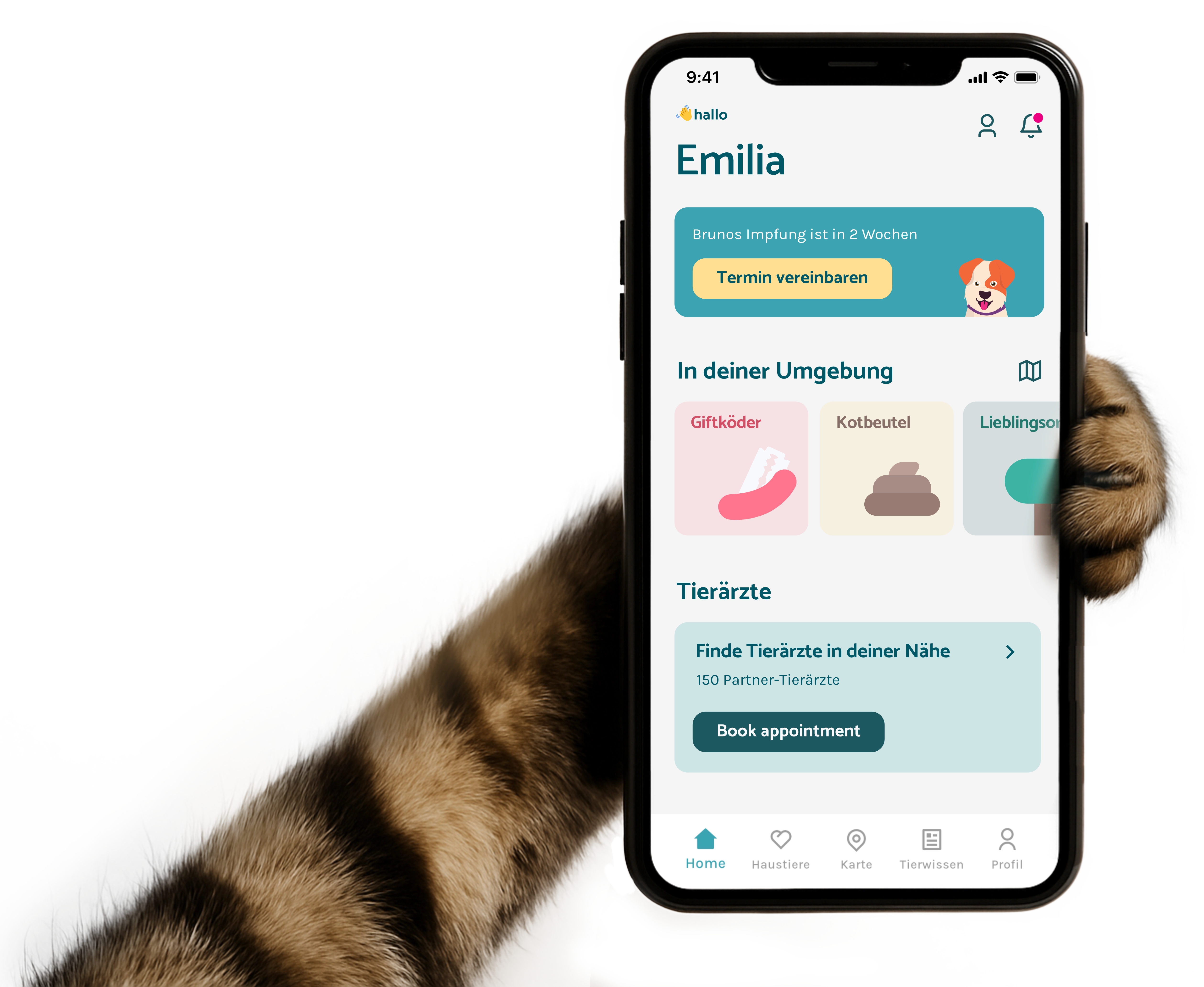 Smartphone in der Pfote einer Katze