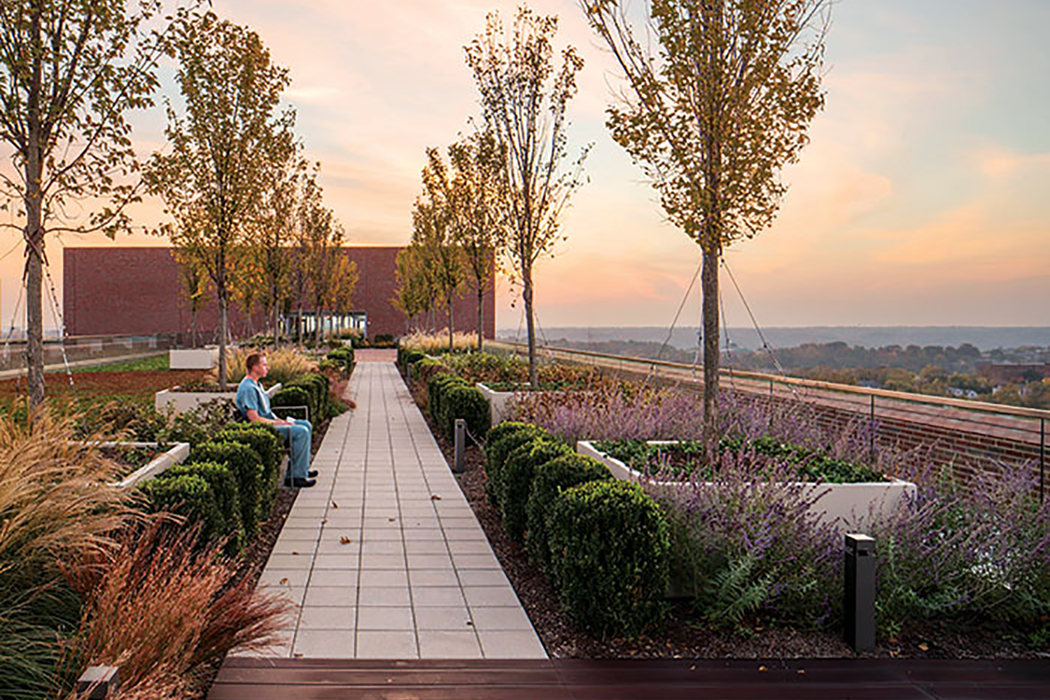 BiophilicDesignInHealthcare_RooftopGarden_820.png