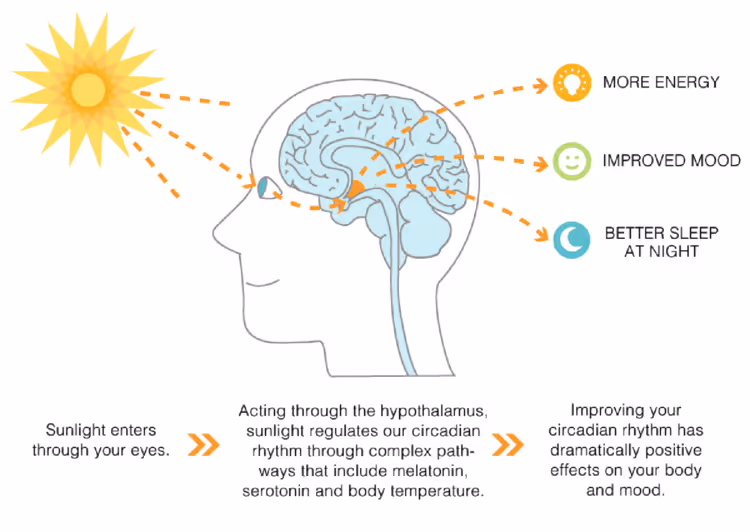 Seasonal Affective Disorder Statistics
