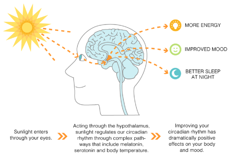 Seasonal Affective Disorder Statistics