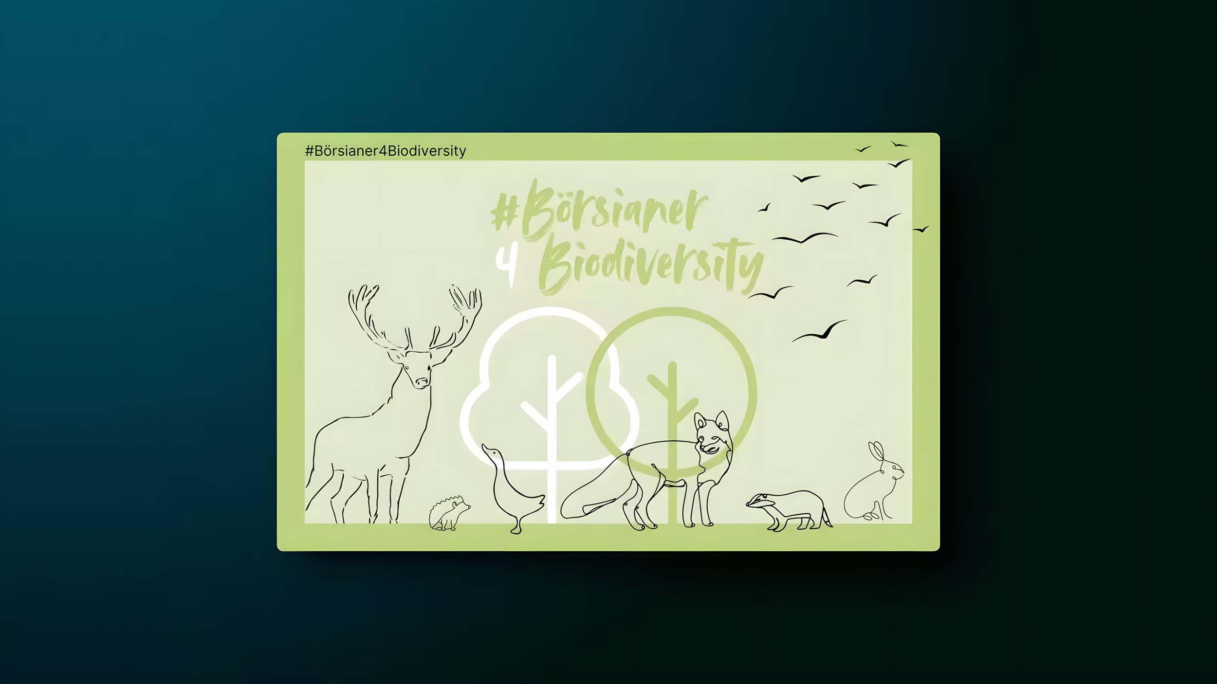 Börsianer Financial Media Platform Photo