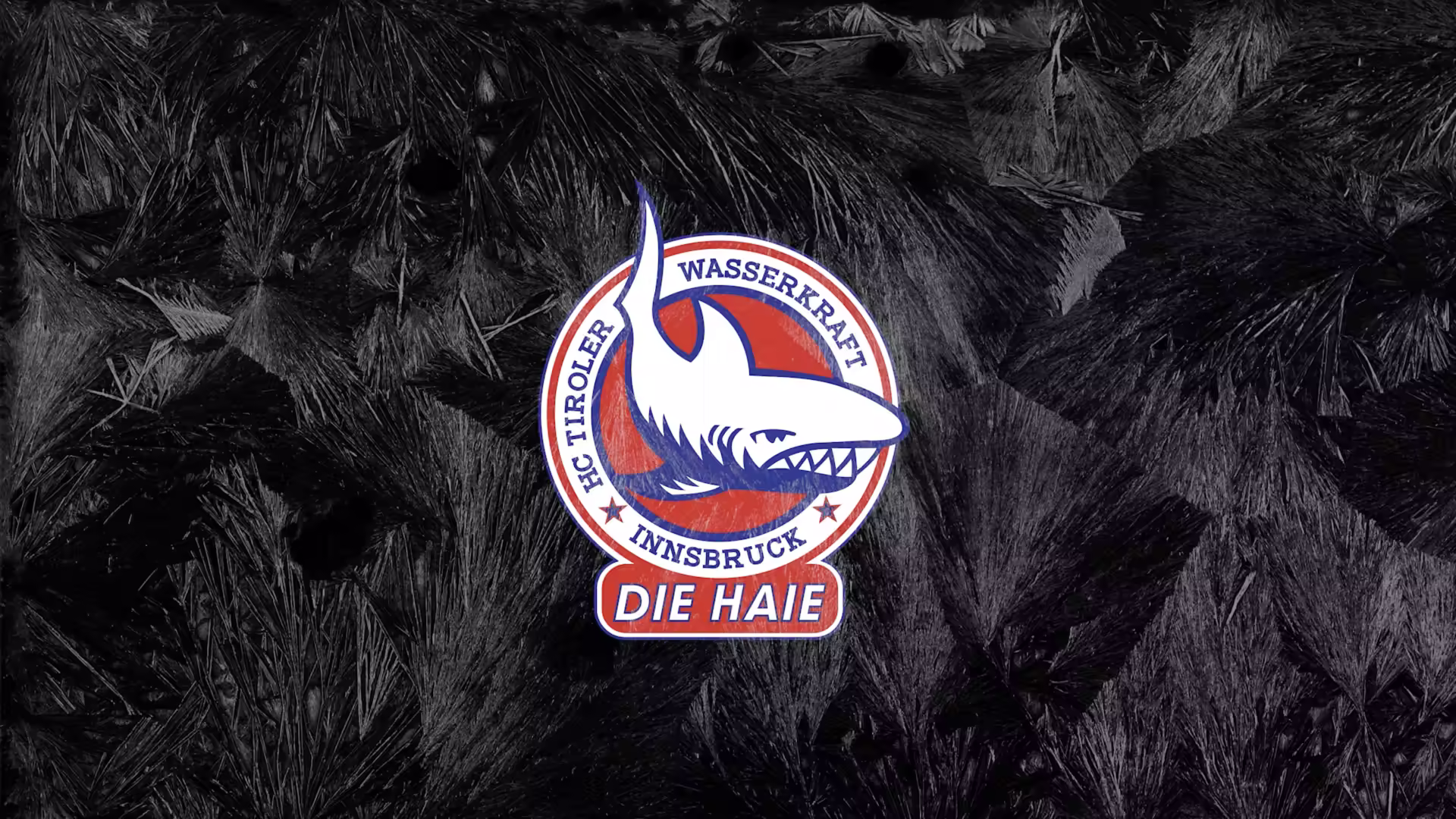 HC Tirol Innsbruck "Die Haie" Logo auf dunklem strukturiertem Hintergrund - kreisförmiges Emblem mit aggressivem Haifischkopf-Design in rot, weiß und blauen Farben