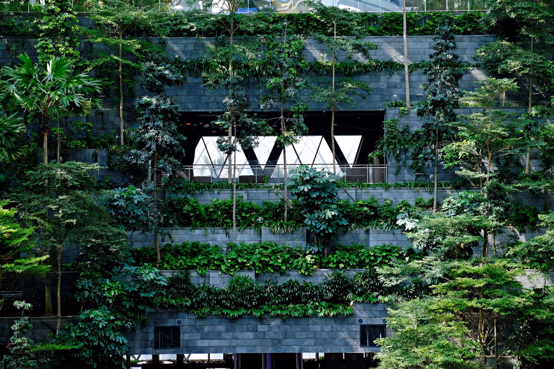 La facade d'un immeuble de bureaux avec de la verdure.