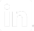 LinkedIn logo icon