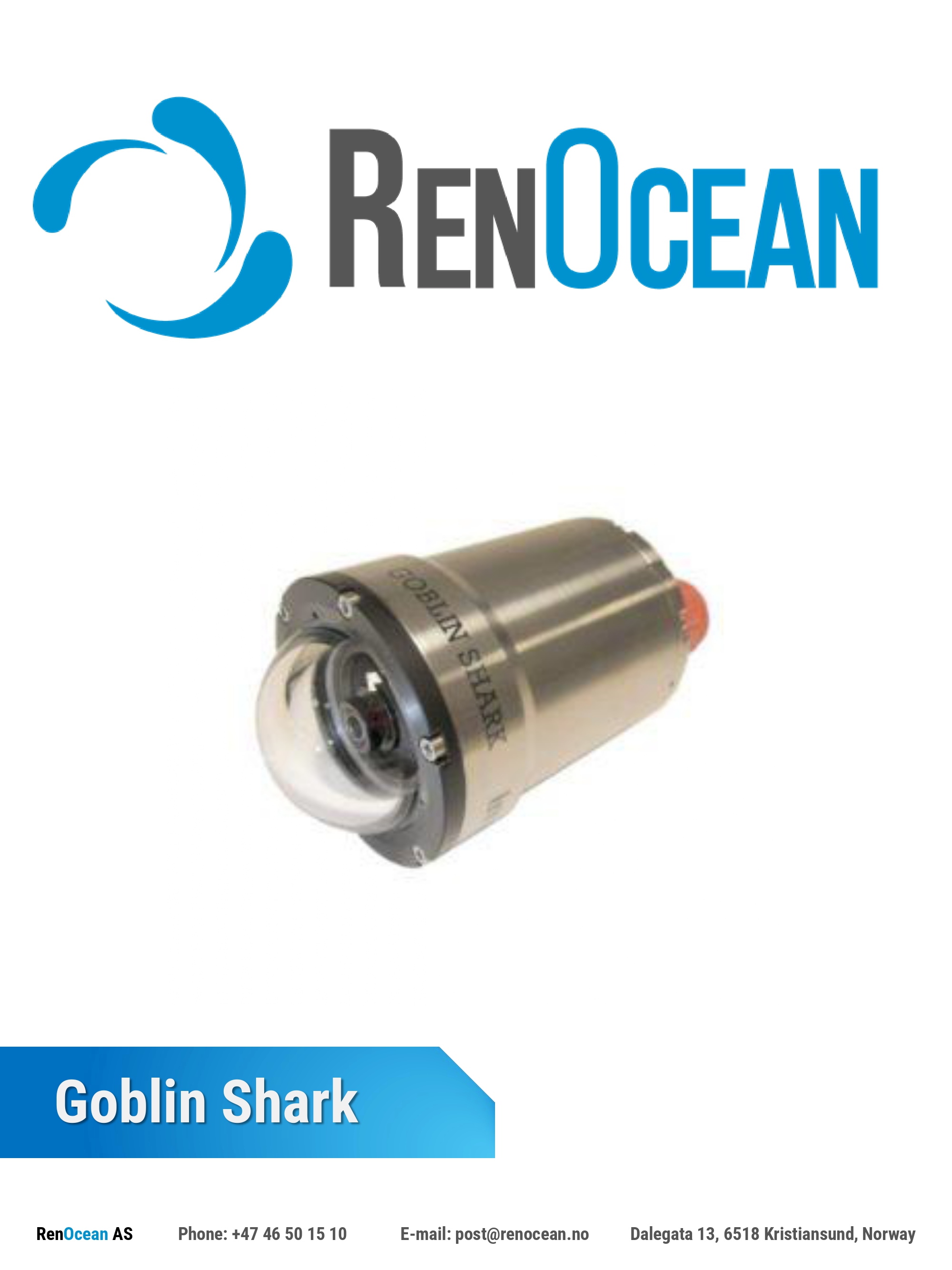 Goblin Shark