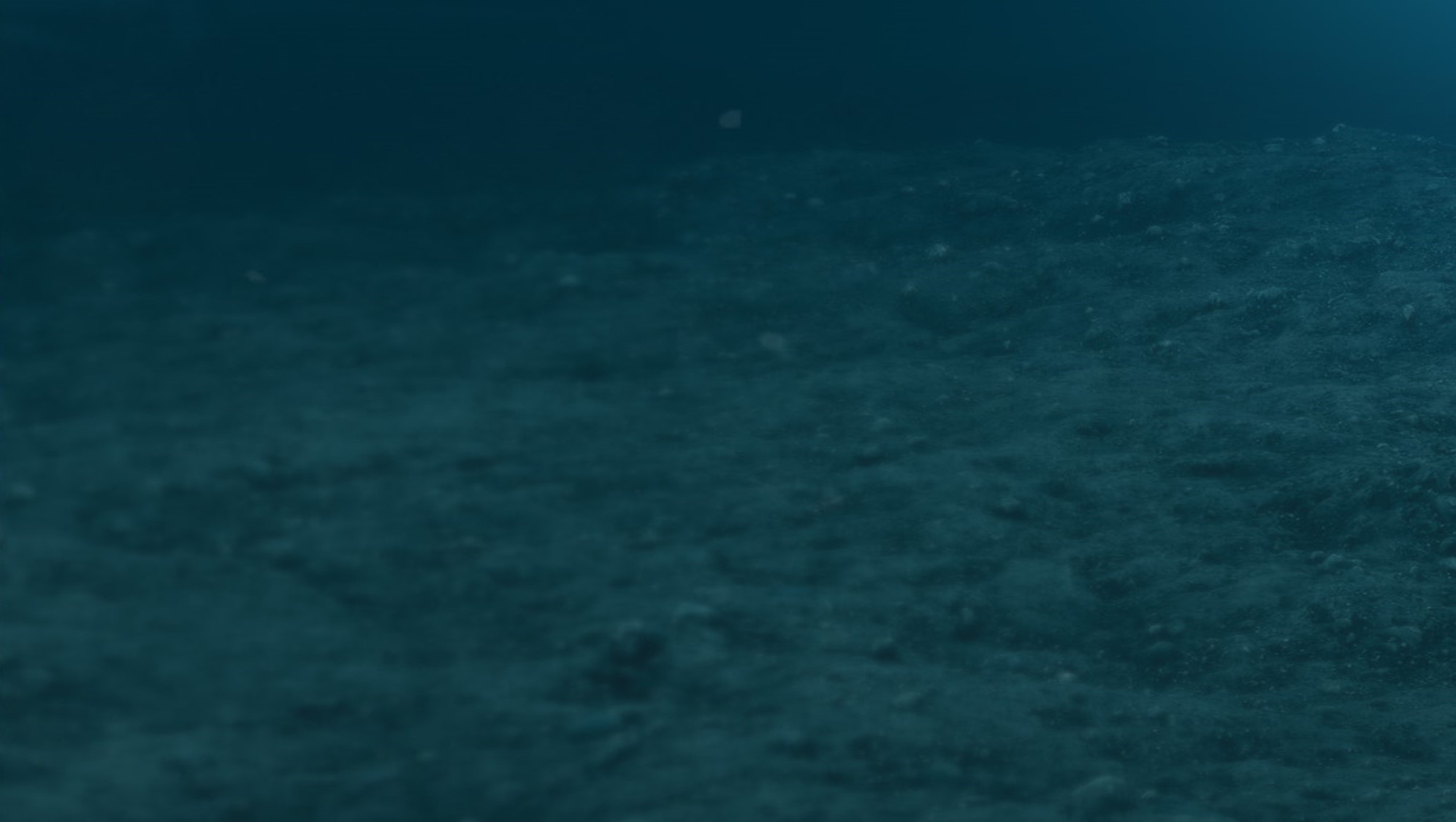 Marine Growth Removal