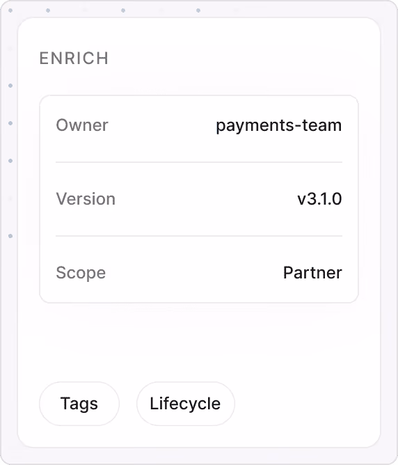 Enrich panel showing owner, version and scope metadata with tags and lifecycle chips