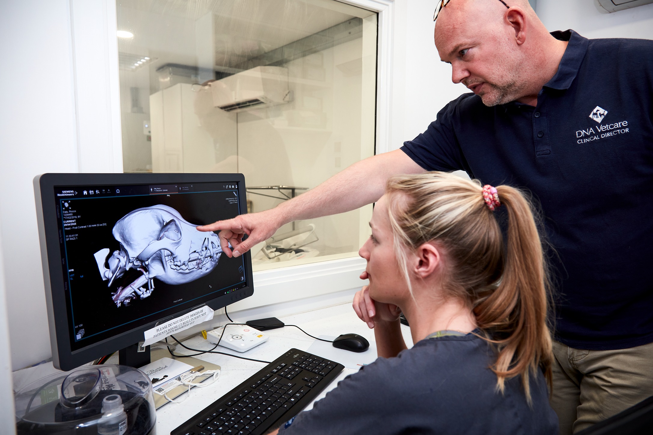 Two veterinary professionals examining a 3D skull scan on a computer screen in a clinical setting.