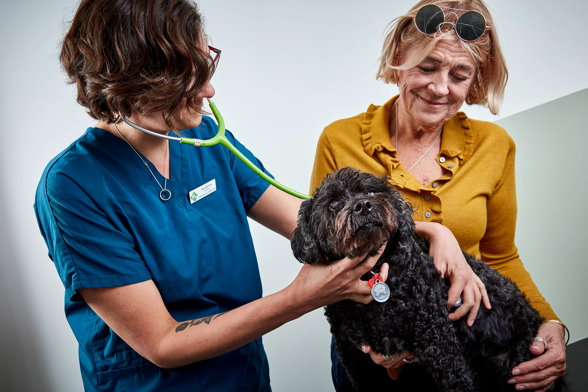 Veterinarian in blue scrubs uses a green stethoscope to examine a black curly-haired dog held by a woman in a mustard yellow sweater.