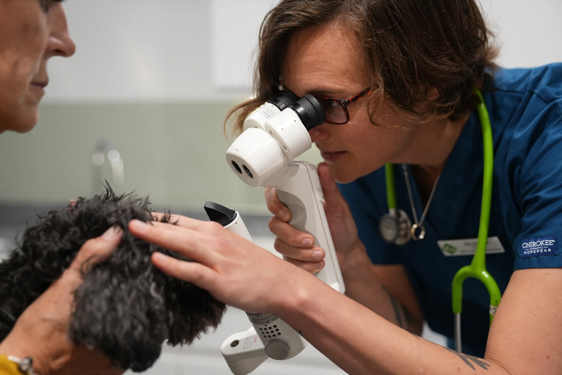 Veterinarian wearing glasses and a stethoscope examines a small black dog using a handheld microscope.
