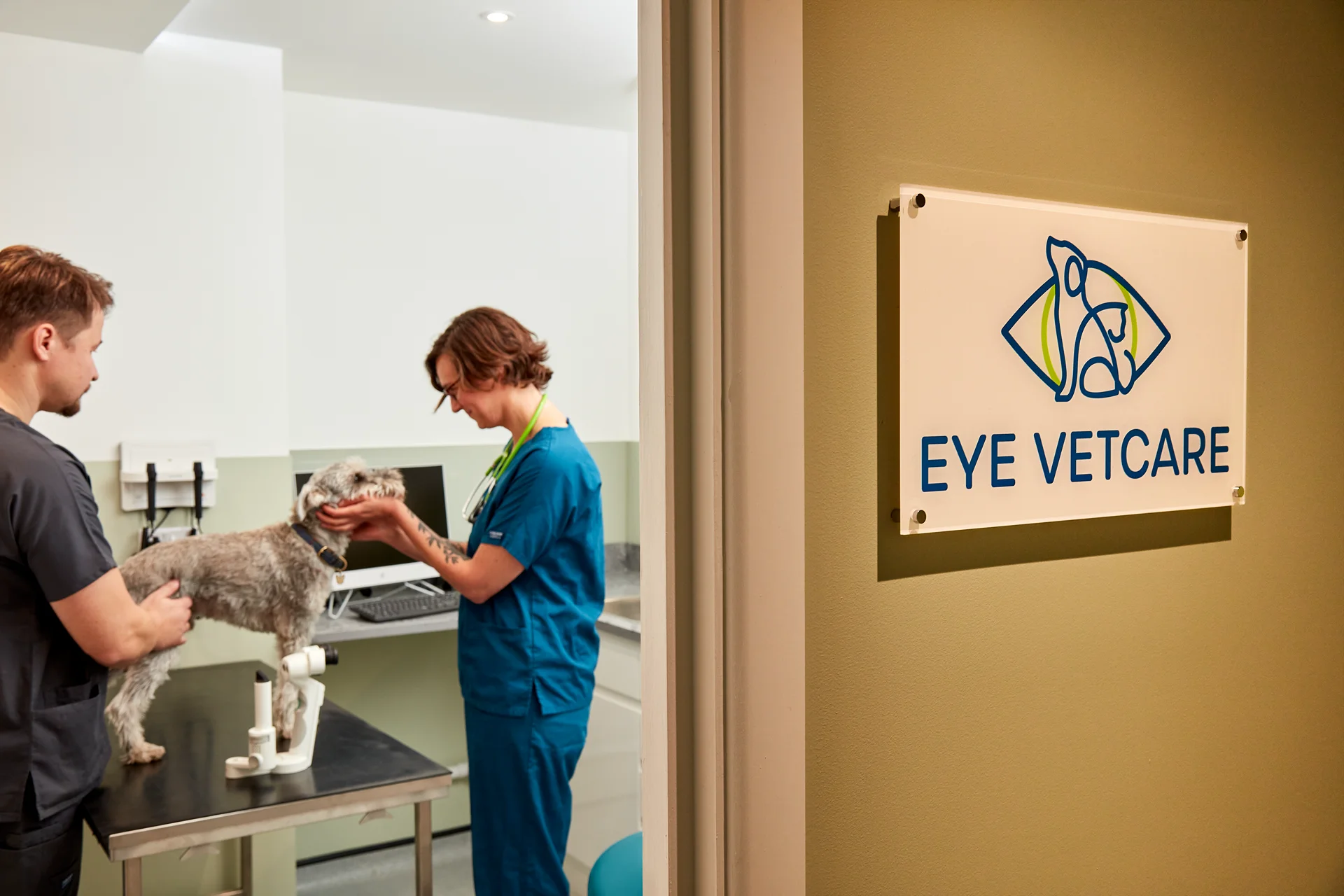 Veterinarians examine a dog on a metal table in an eye care clinic visible through an open door with a sign reading 'EYE VETCARE'.