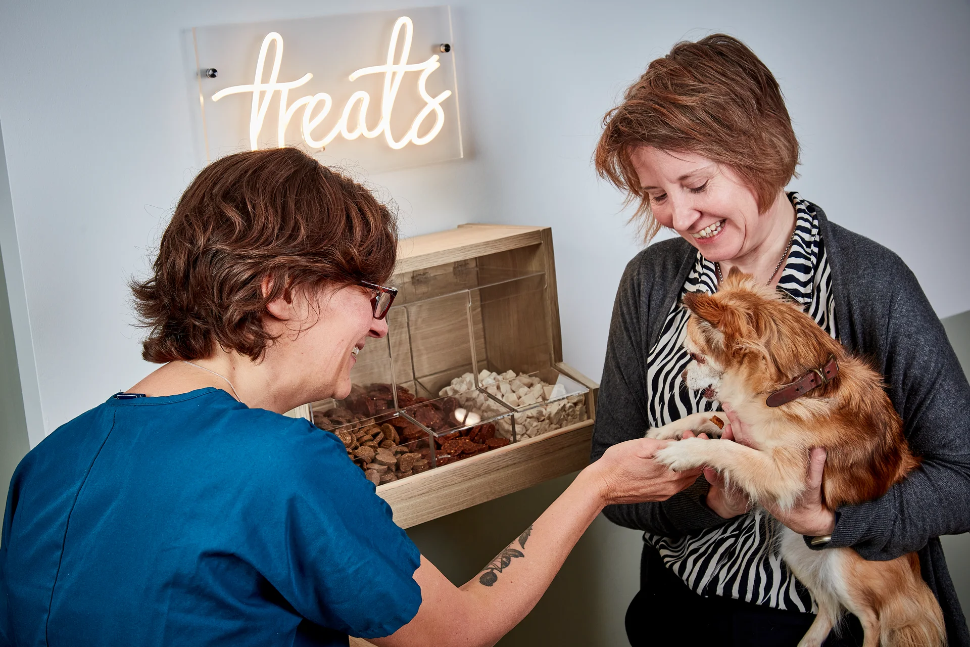 A woman in a blue shirt gives a treat to a small dog held by another smiling woman in a gray cardigan under a neon sign that reads 'treats'.