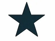 Testimonial Icon