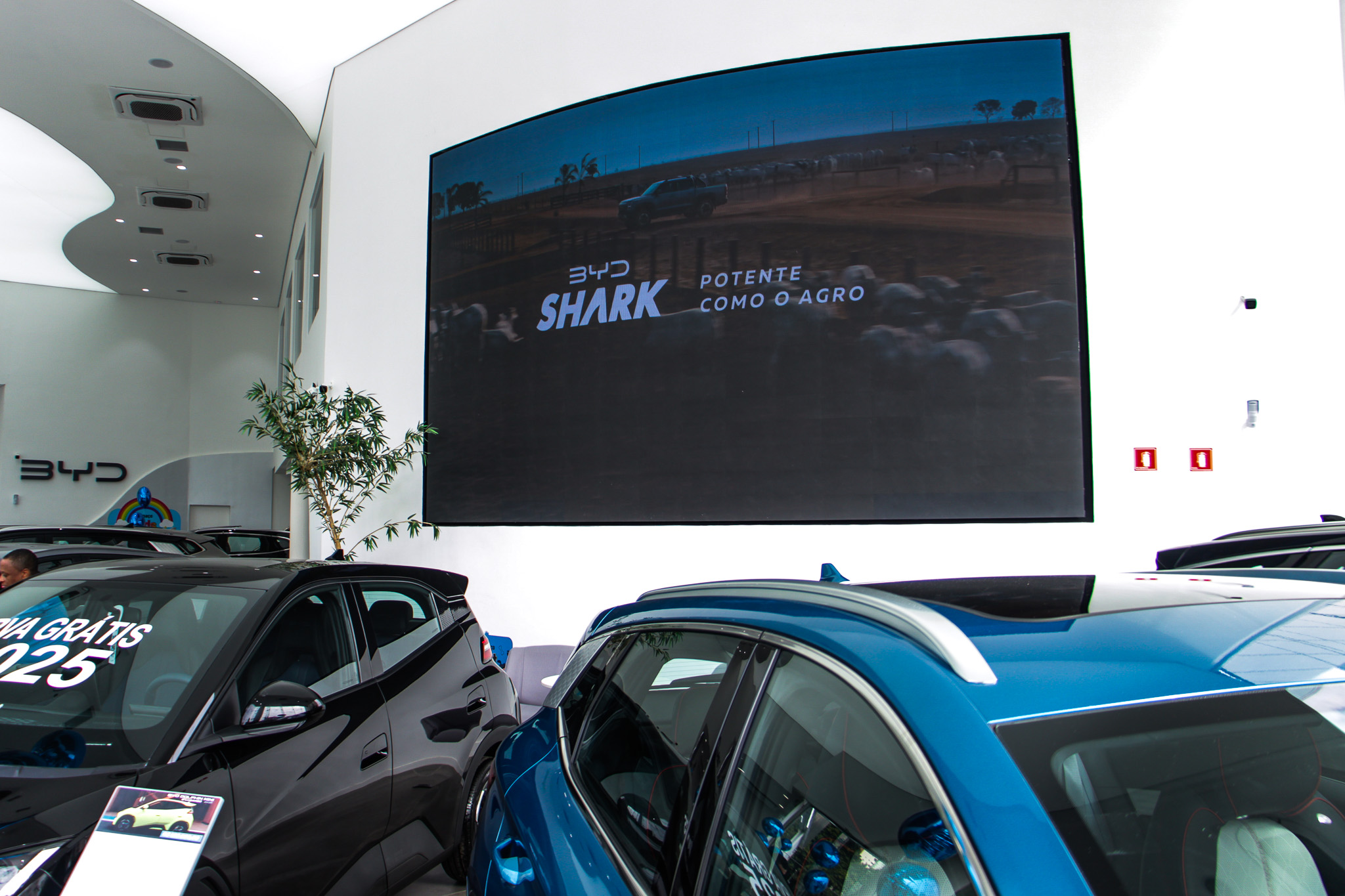 Painel de LED Indoor Côncavo/Convexo