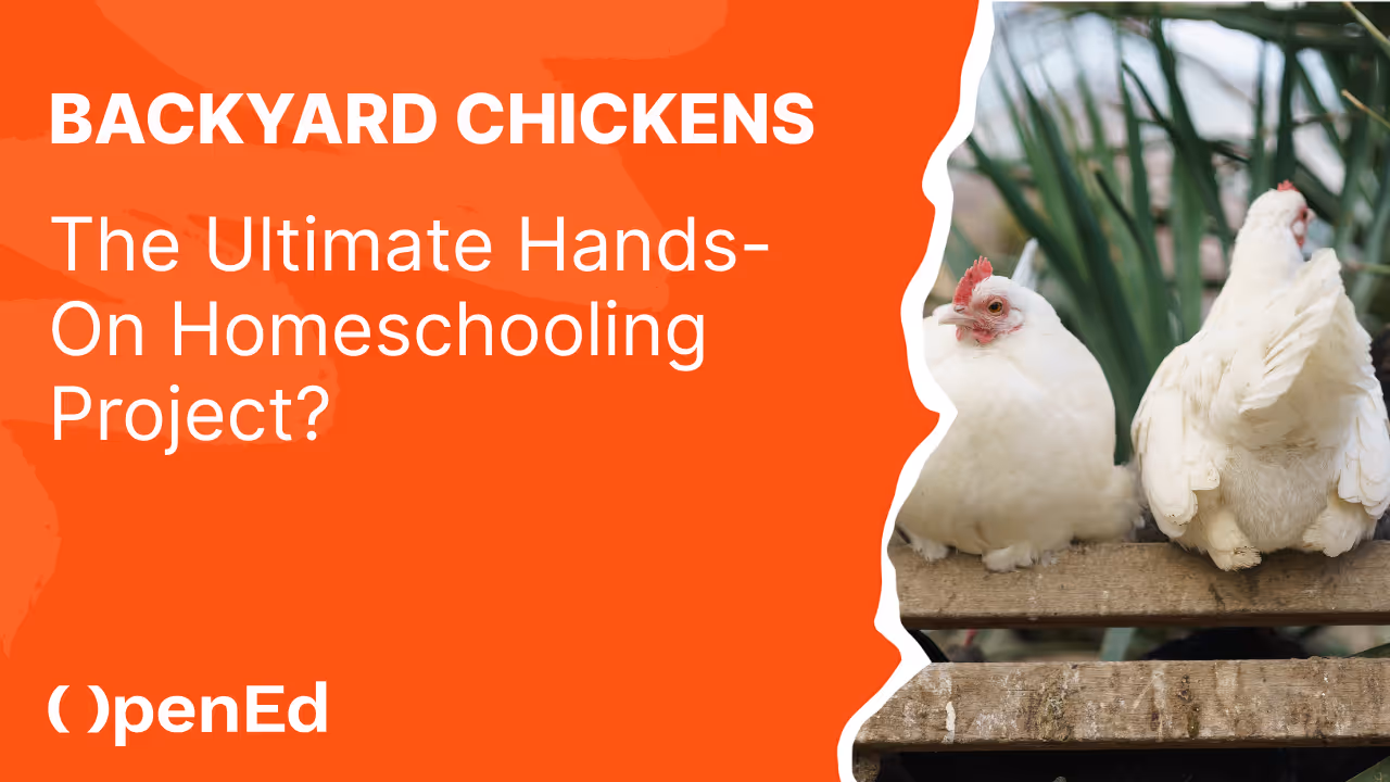 Backyard Chickens: The Ultimate Hands-On Homeschooling Project?