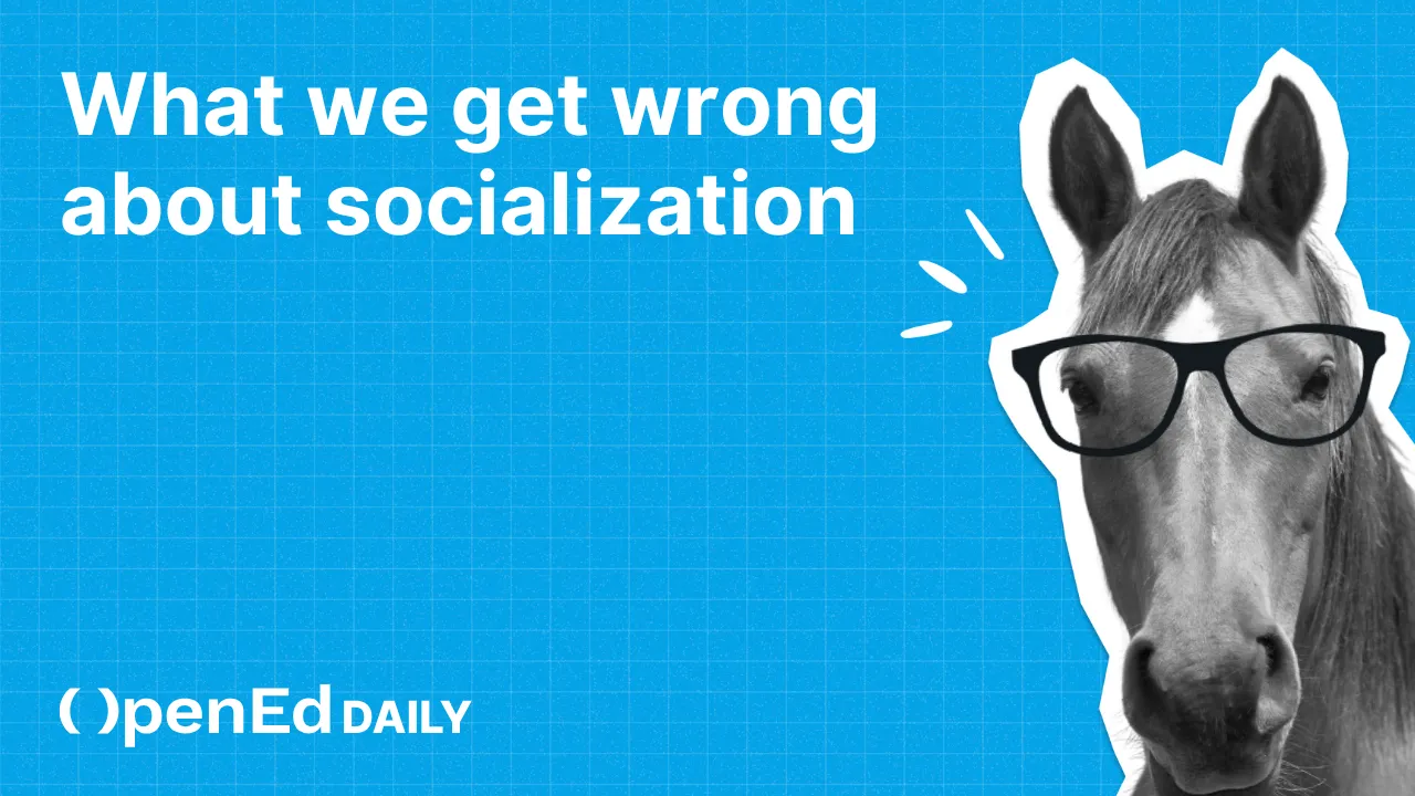 What we get wrong about socialization