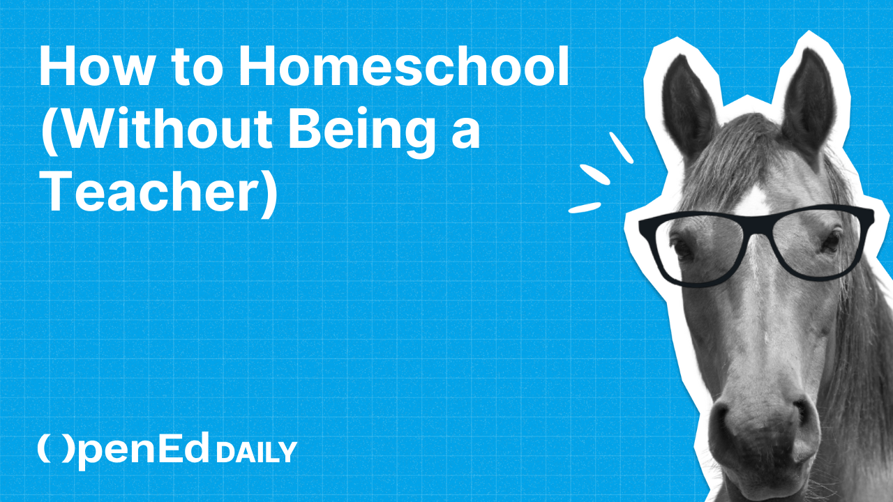 The OpenEd Store is now LIVE