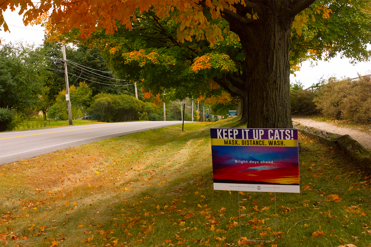 A digital photograph of a yard sign placed in the field between a running trail on UVM's campus, and a main road known as Spear Street. The field is still green, but is littered with bright orange leaves from the tree behind this yard sign. The yard sign reads "Keep it Up, Cats!" at the top of the sign, then "Mask. Distance. Wash.", then the sign shows a photo of clouds that are red and blue from a sunrise or sunset, and there is text on top of this photo that reads, "Bright days ahead."