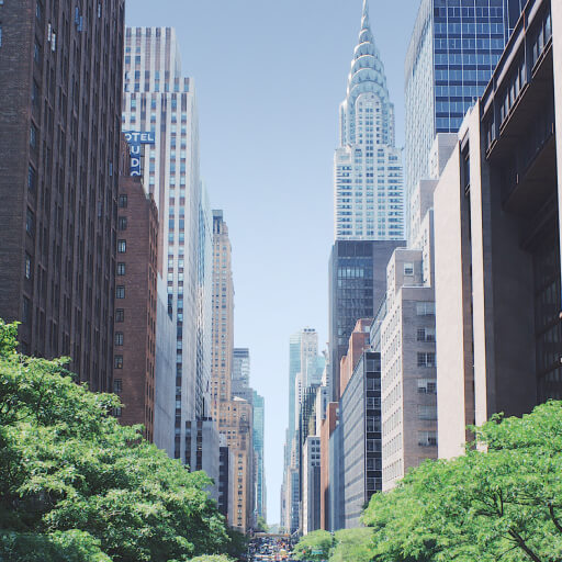 The Best Experiences In Your City - LocalListing X Webflow Template