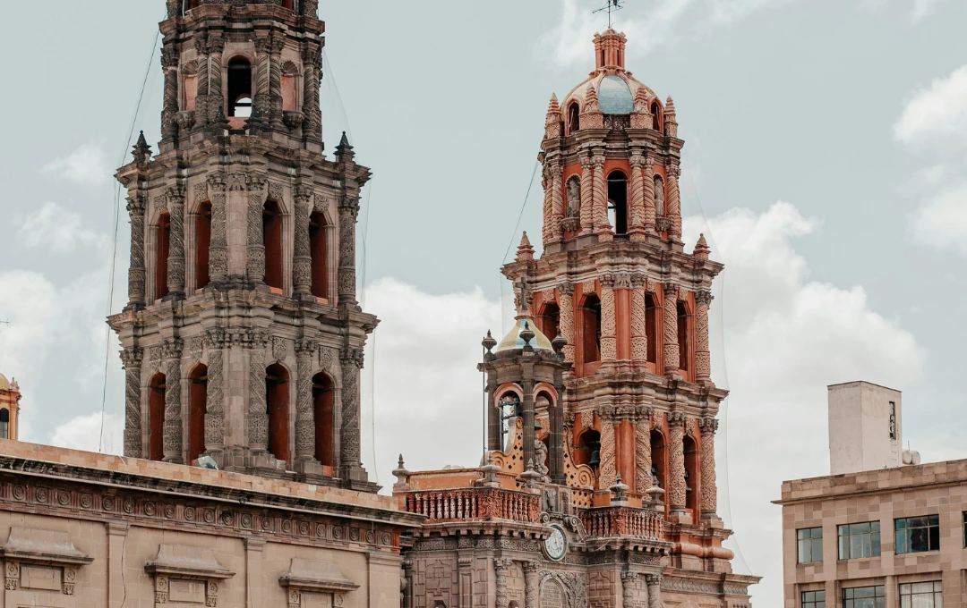 Catedral de San Luis Potosí con clínicas veterinarias cercanas