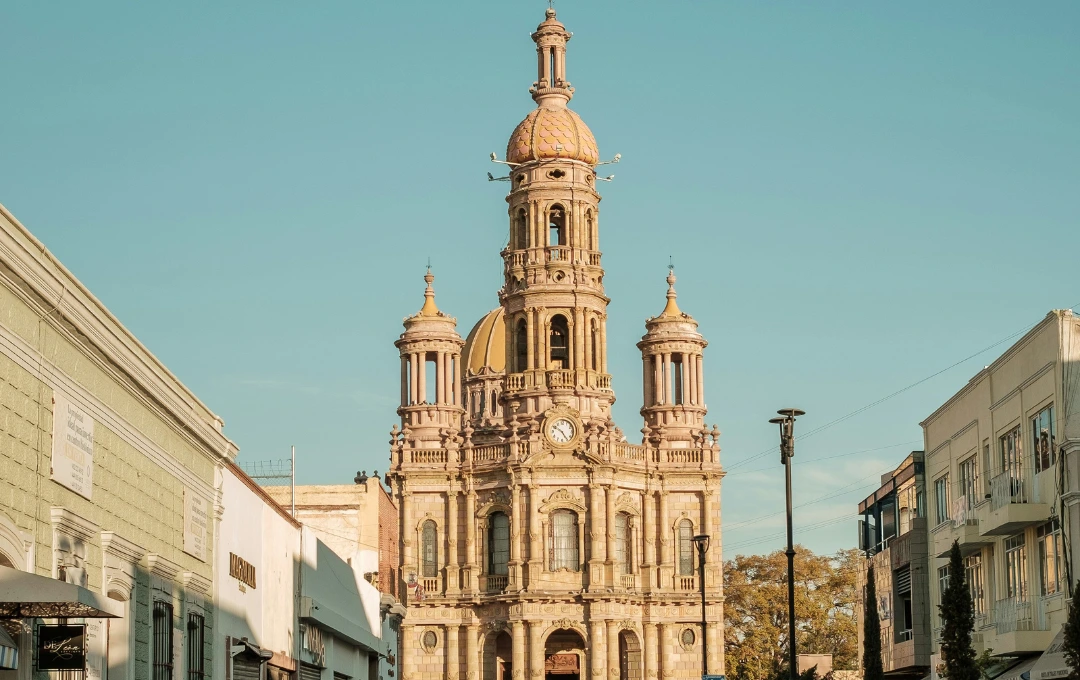 Zócalo de Aguascalientes con clínicas veterinarias cercanas