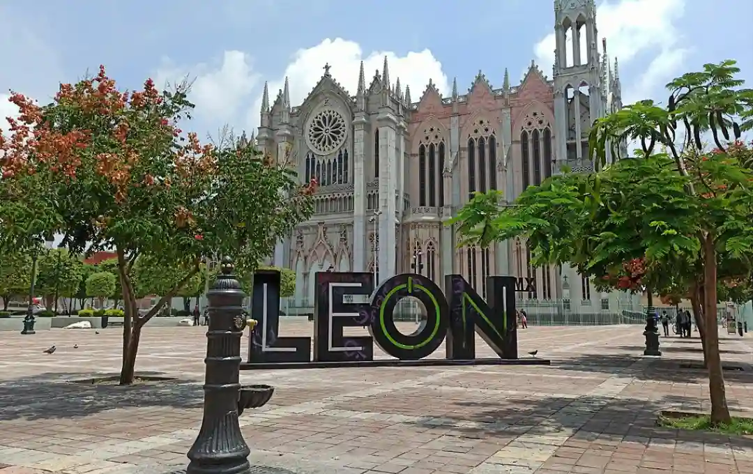 veterinaria-en-leon-gto