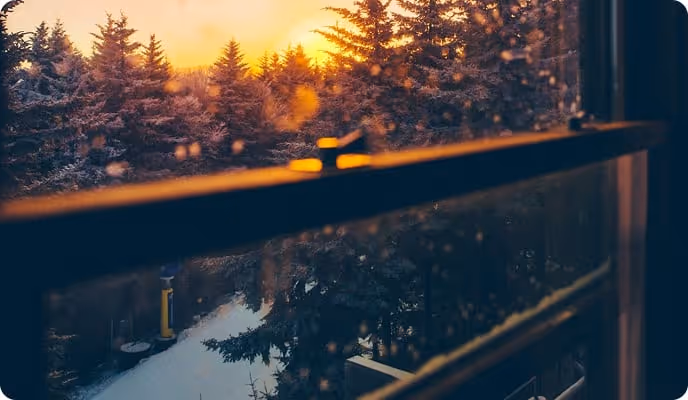 A view out of a window during winter. 