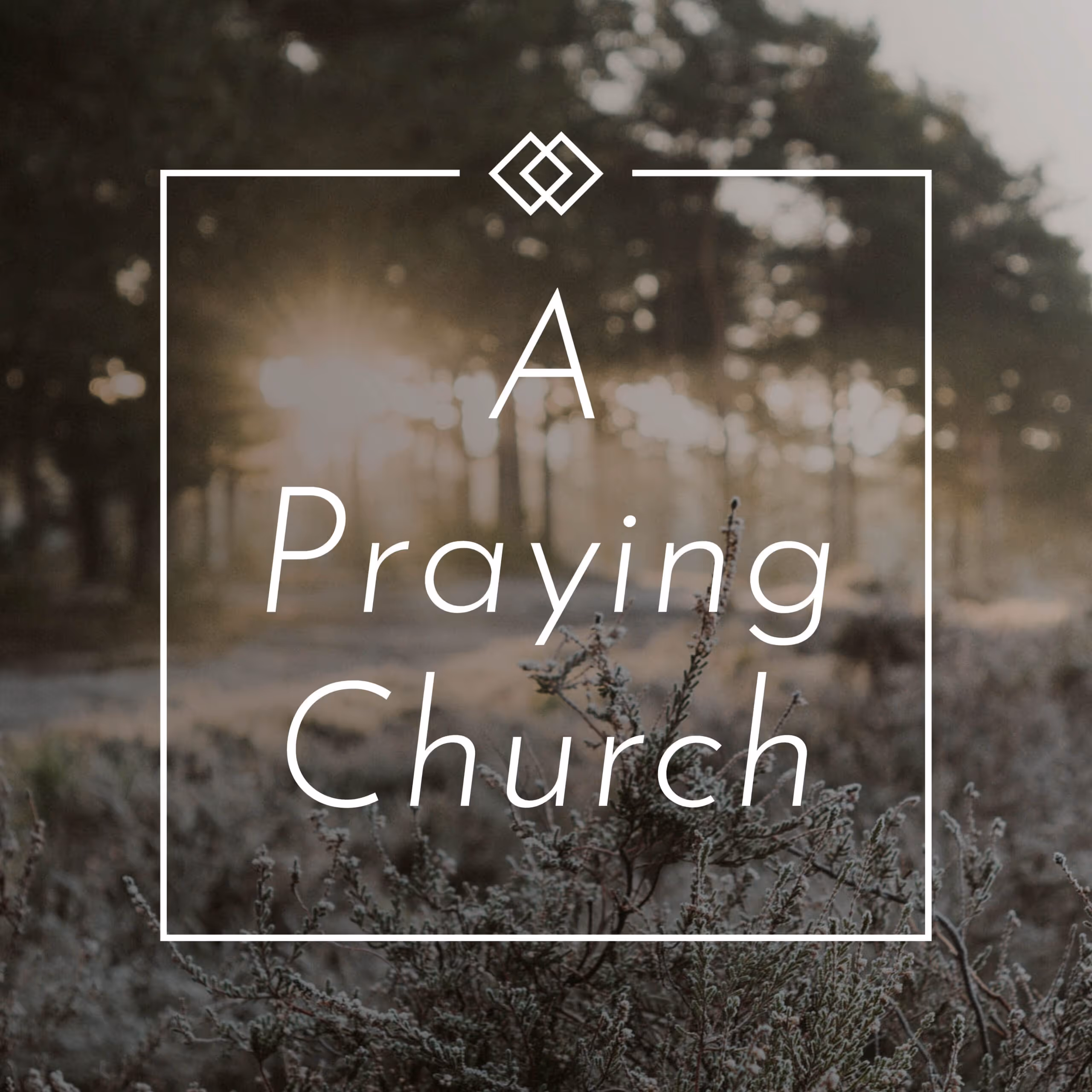 Sermon series graphic for "A Praying Church"