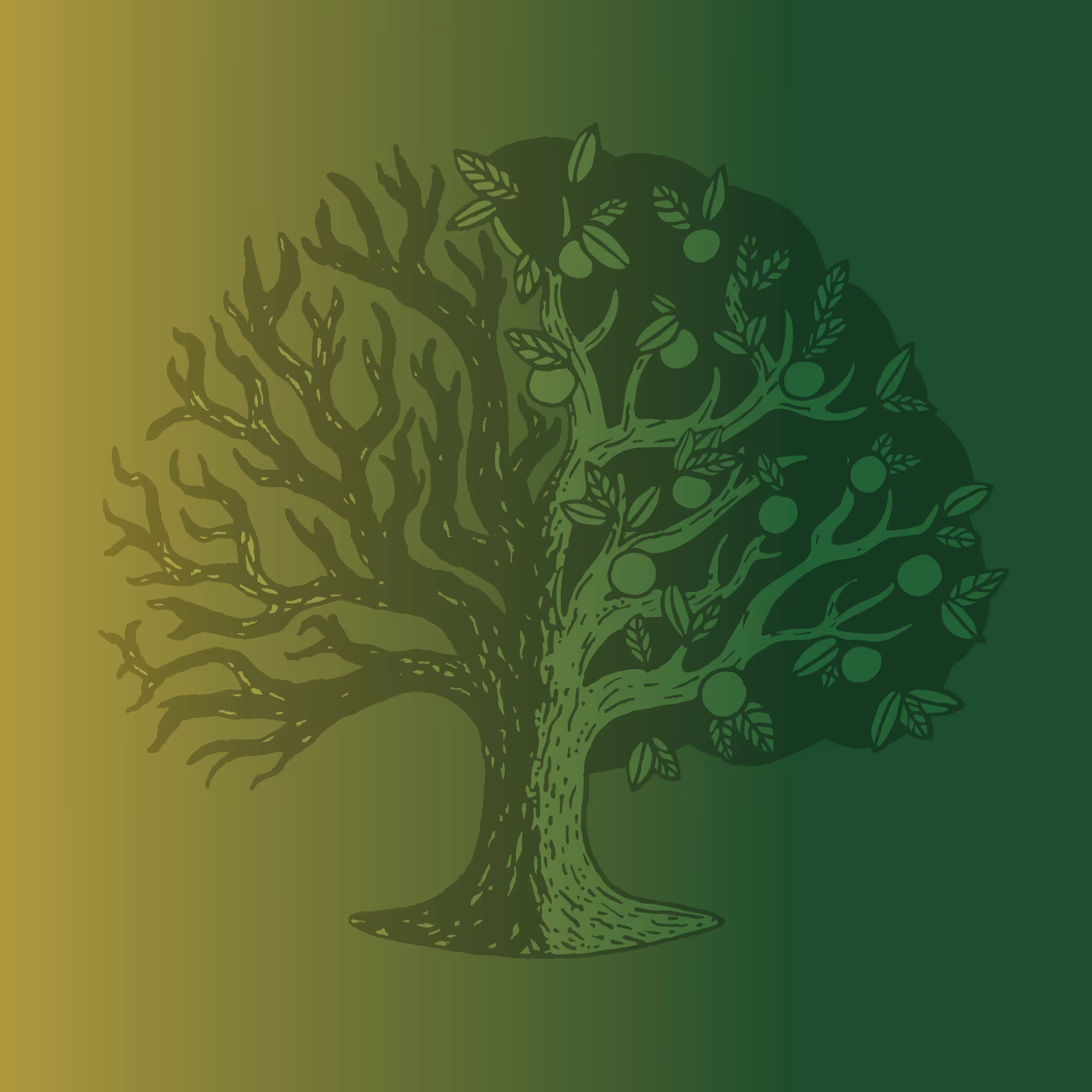 Sermon series graphic for "James: A Portrait of Living Faith"