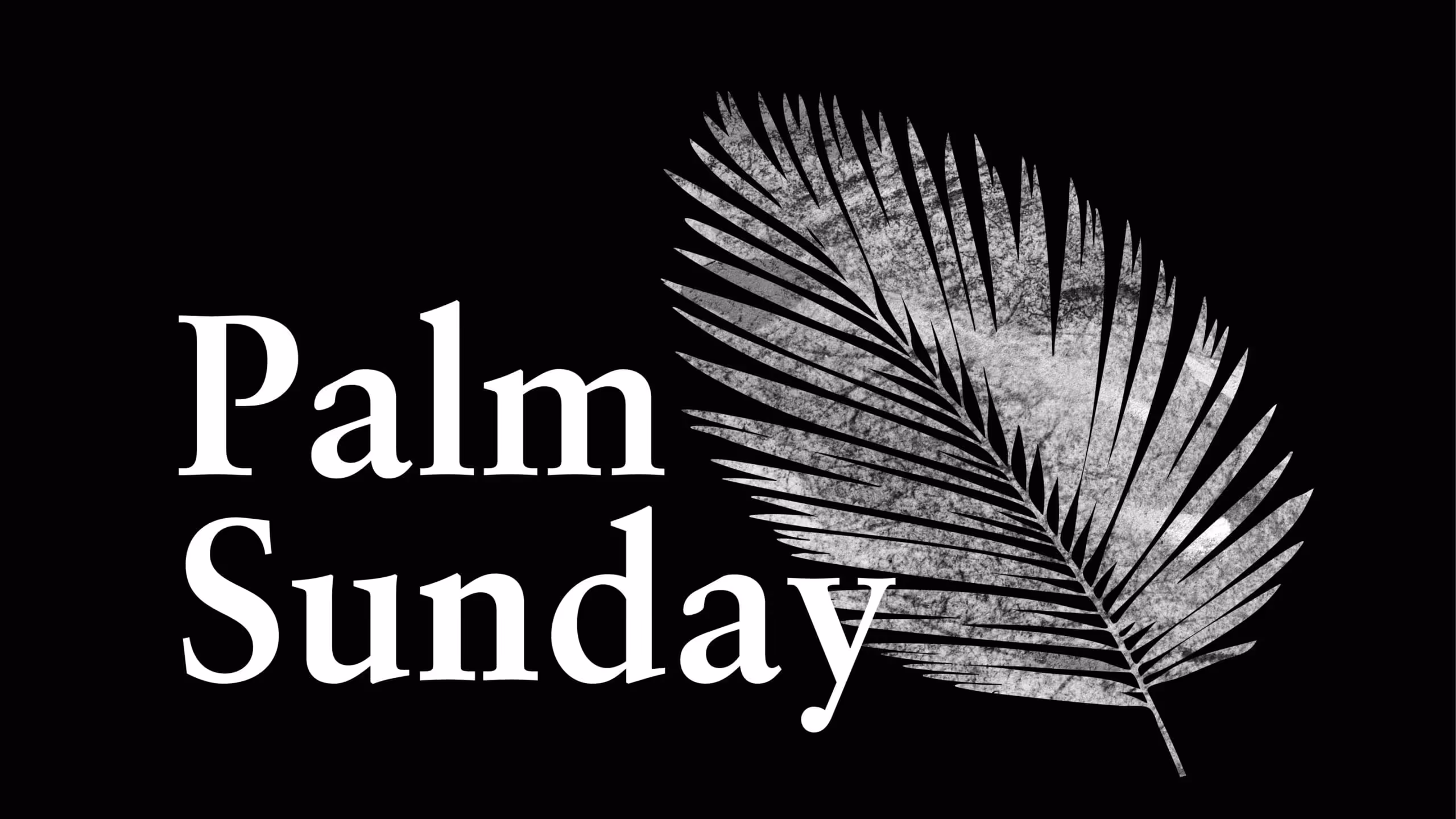 Sermon series graphic for "Palm Sunday 2025"