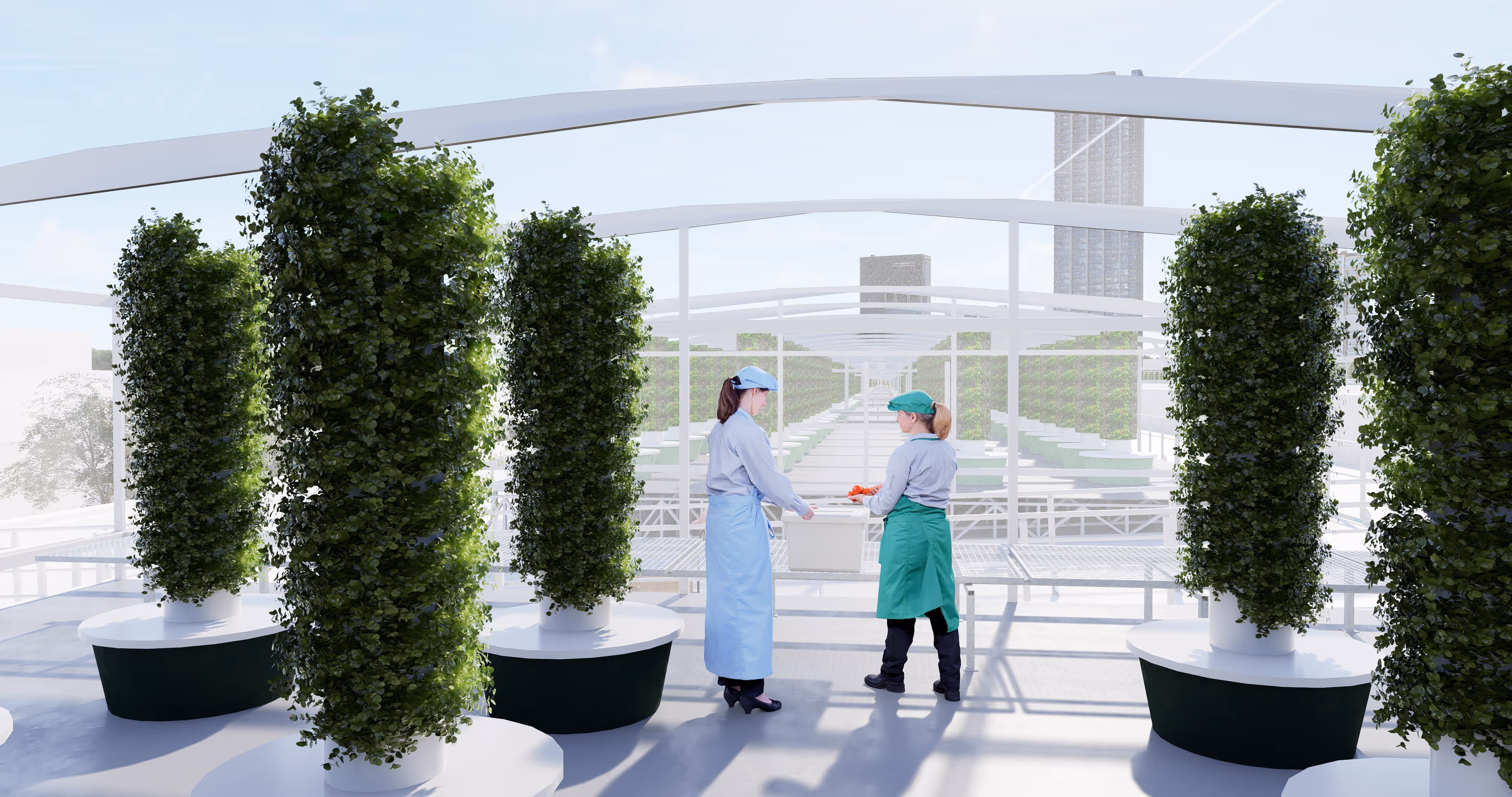 Interior view of greenhouse with acoustic panels and structure