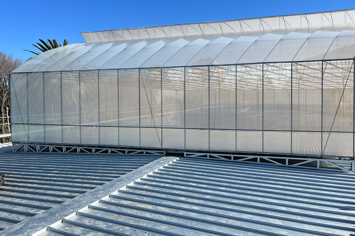 Greenhouse rooftop structure with metal frames and glass panels