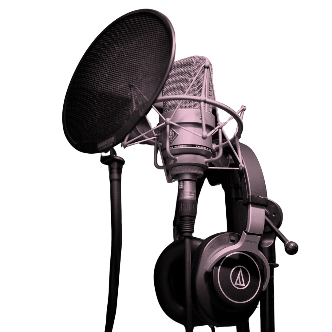 an image showing a recording condenser microphone and pop filter  representing Voiceover acting and dubbing services  