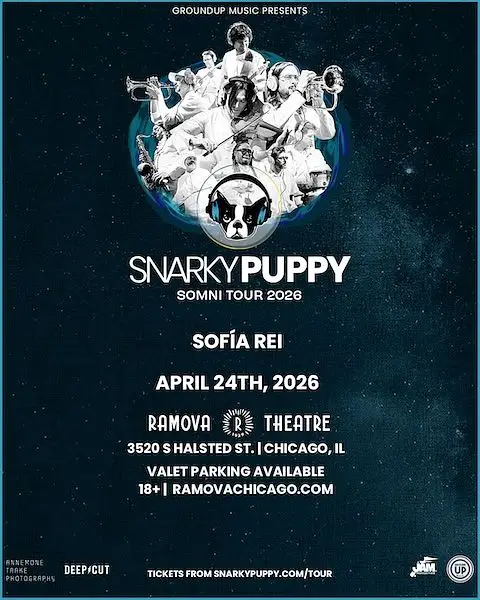 Snarky Puppy