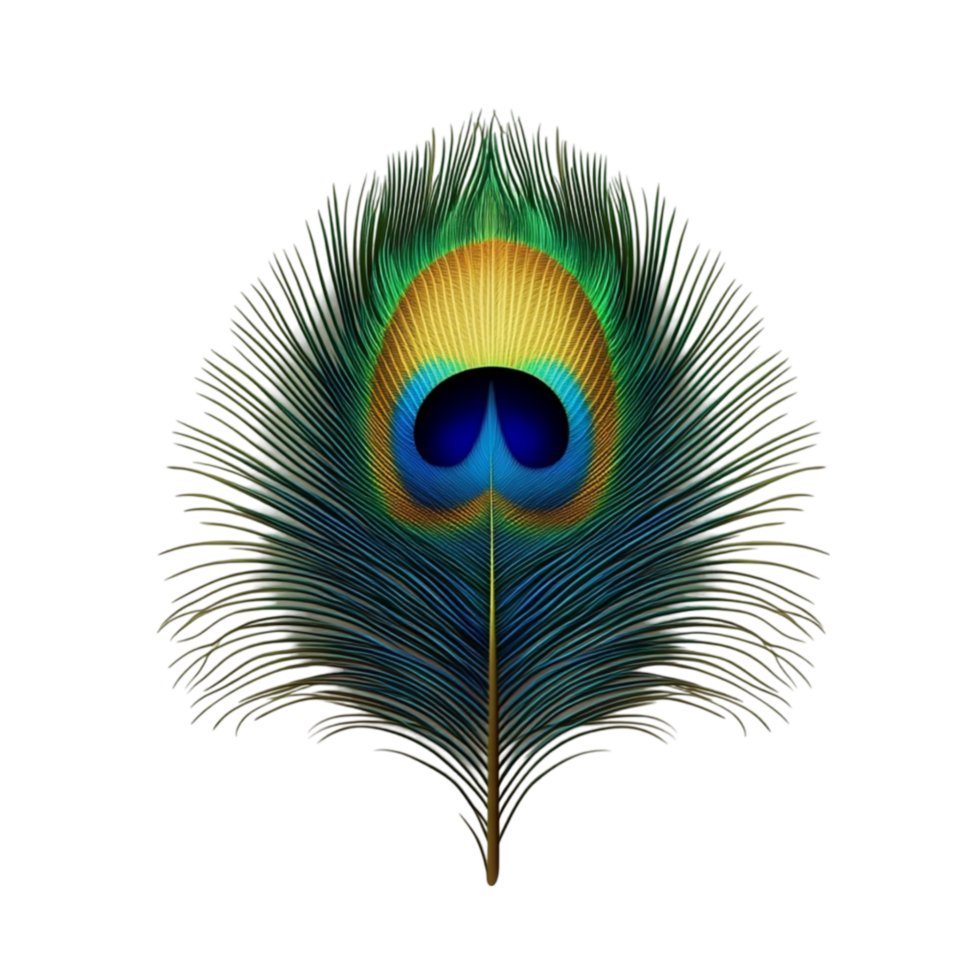 Decorative peacock feather