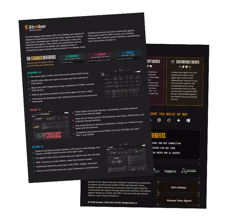 The Straiker Portfolio Brief