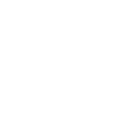 Icon - AI