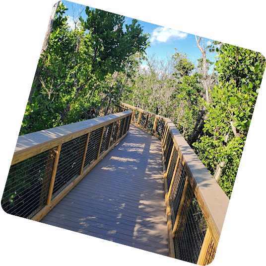 Wooden boardwalk winding through lush green trees and forest