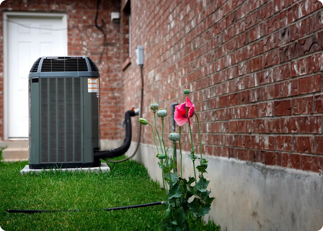 Pink poppy flower beside air conditioning unit on green lawn