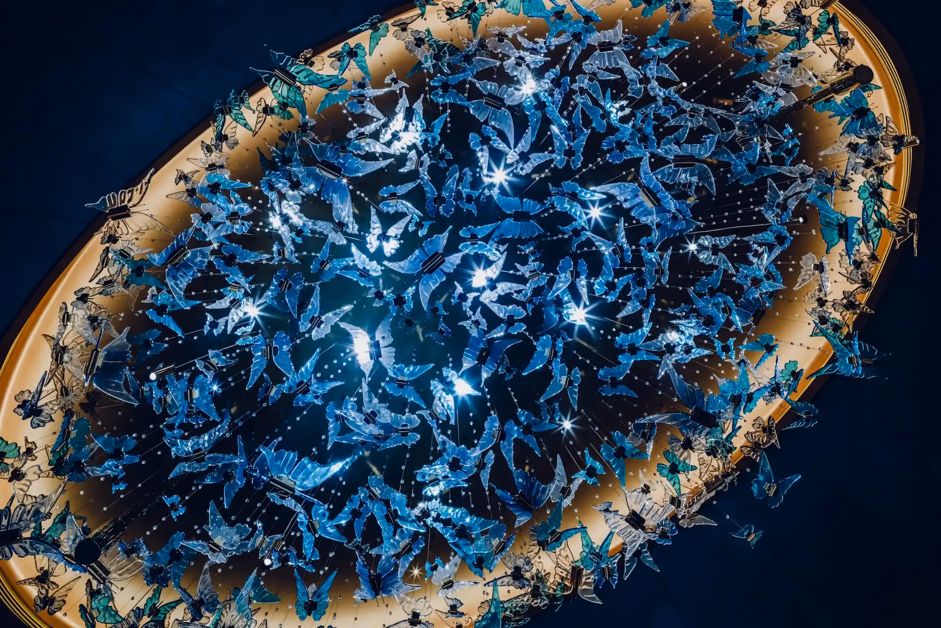 Grand Imperial Court butterfly chandelier ceiling detail at MGM Macao featuring suspended blue and crystal butterflies set within an illuminated oval ceiling recess creating a sculptural focal point in the luxury Chinese restaurant private dining interior