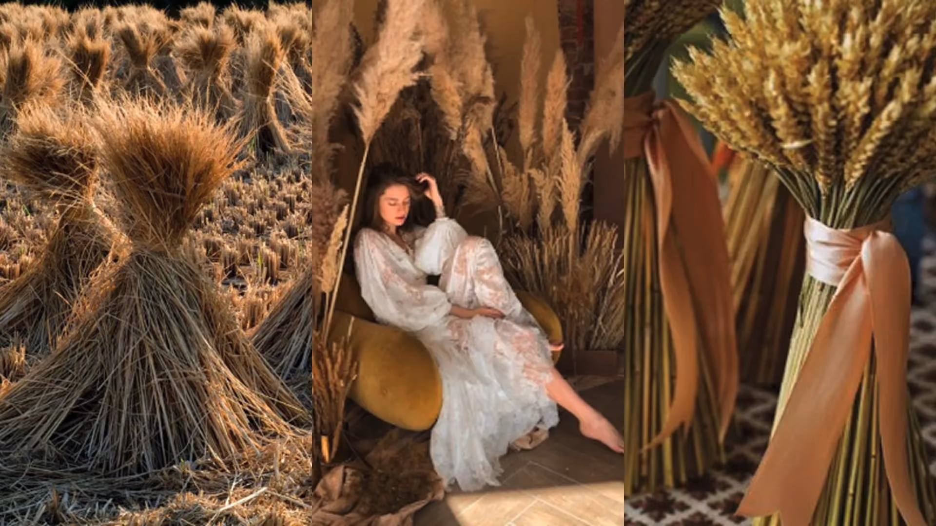Key concept 1 for Strawfire, straw: rice straw sheaves, a model among dried grasses and wheat bundled with a ribbon in cream, gold and mustard tones