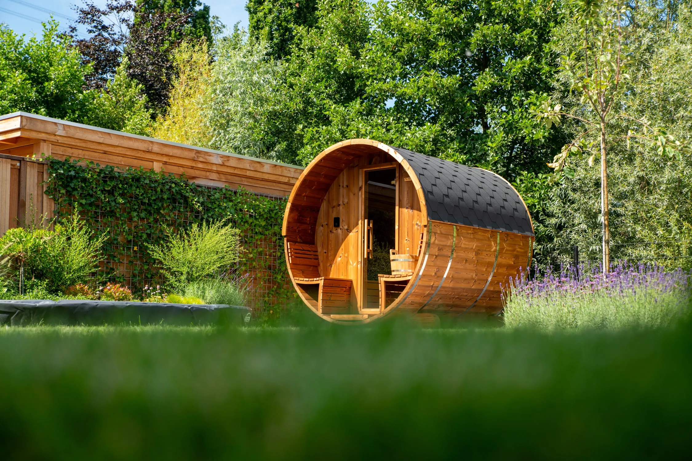 What do the saunas weigh?