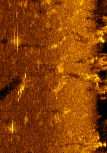 Ausschnitt einer Sonaraufnahme