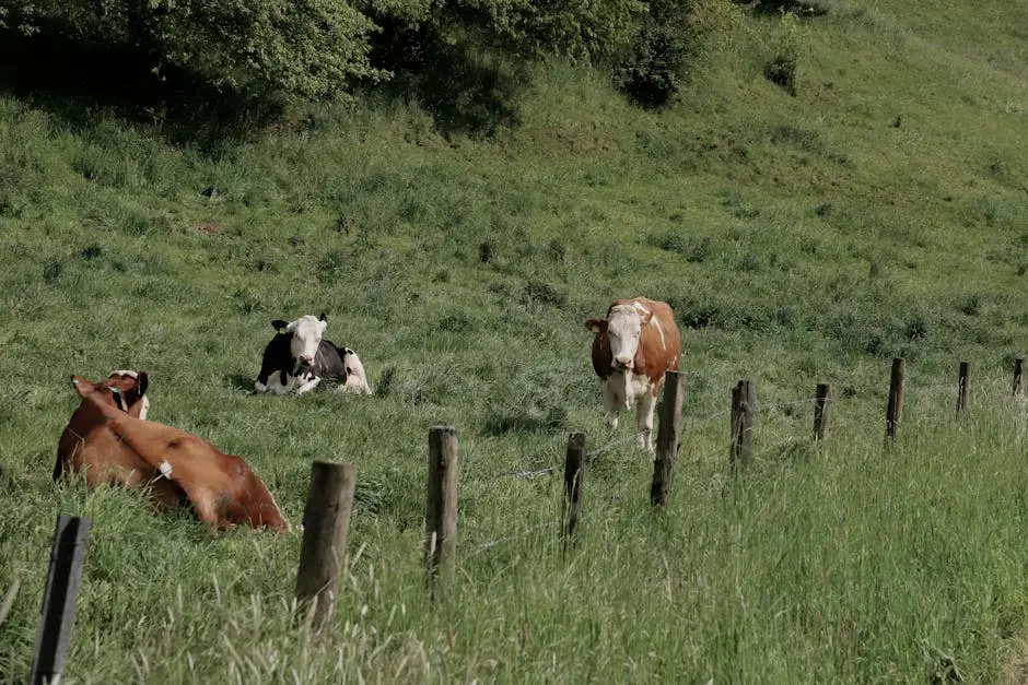 8 Ways Performance Tracking Boosts Herd Productivity